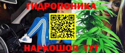 мдпв Волжский