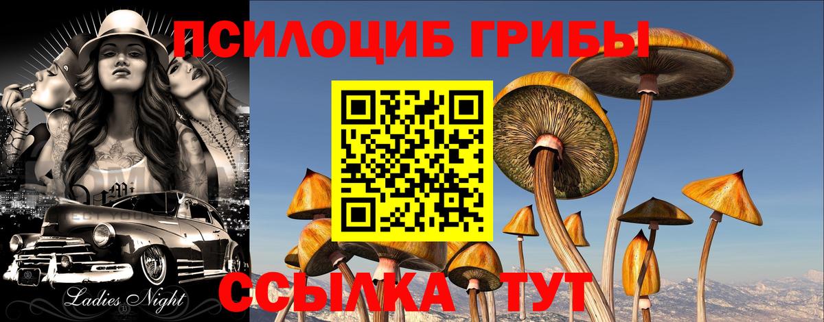 Десногорск  Галлюциногенные грибы ЛСД  Вход с VPN 
