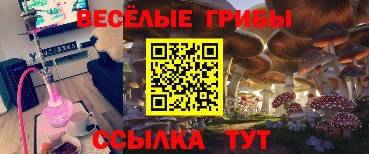 Галлюциногенные грибы Cubensis Десногорск